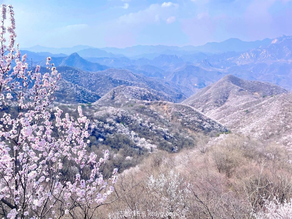 MTXX_MH20240407_110426077