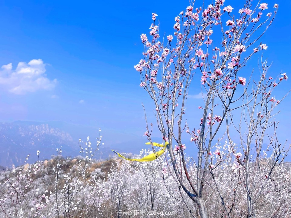 MTXX_MH20240407_110407613