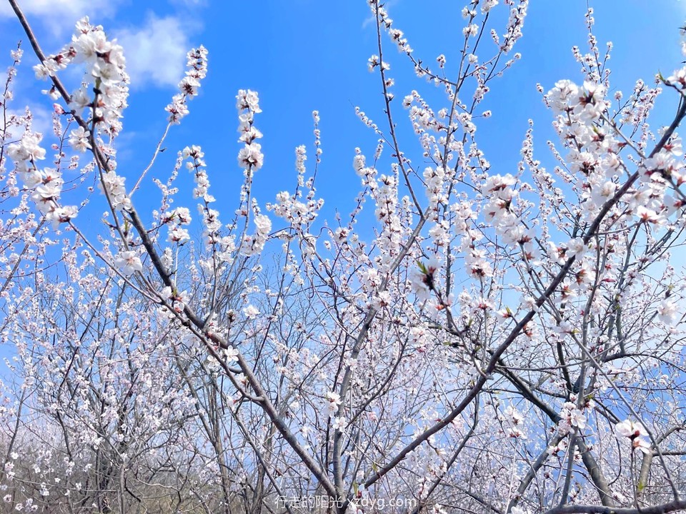 MTXX_MH20240407_110440362