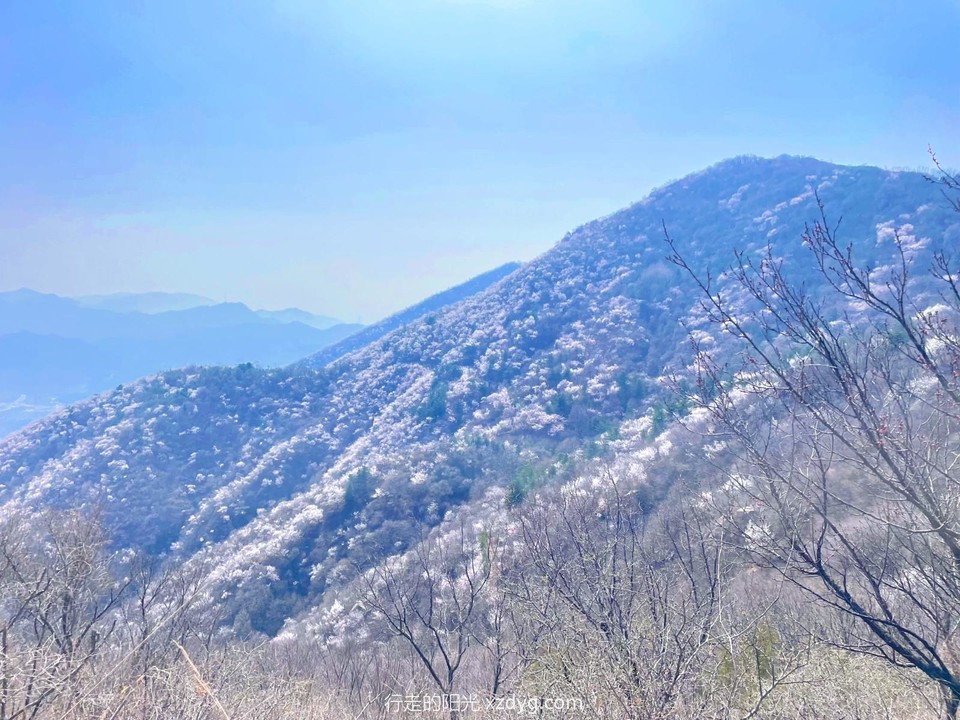 MTXX_MH20240407_110309050