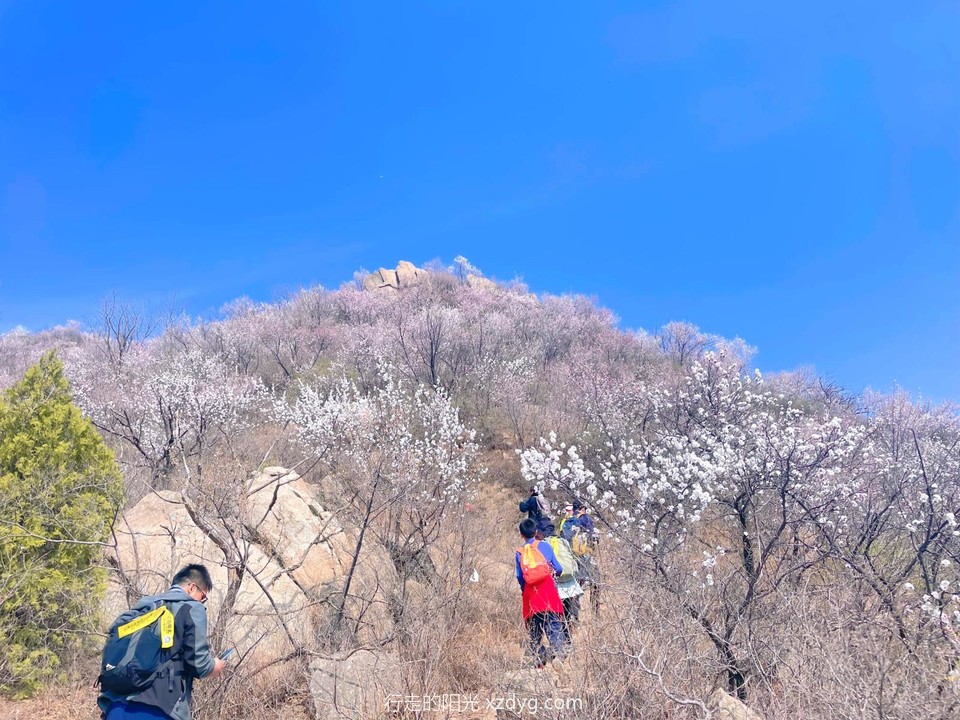 MTXX_MH20240407_105808695