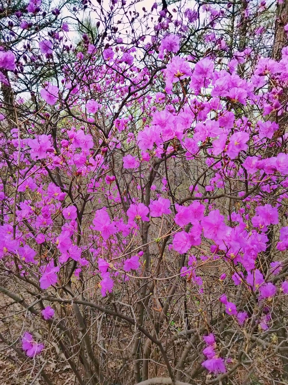 MTXX_MH20240414_122703888