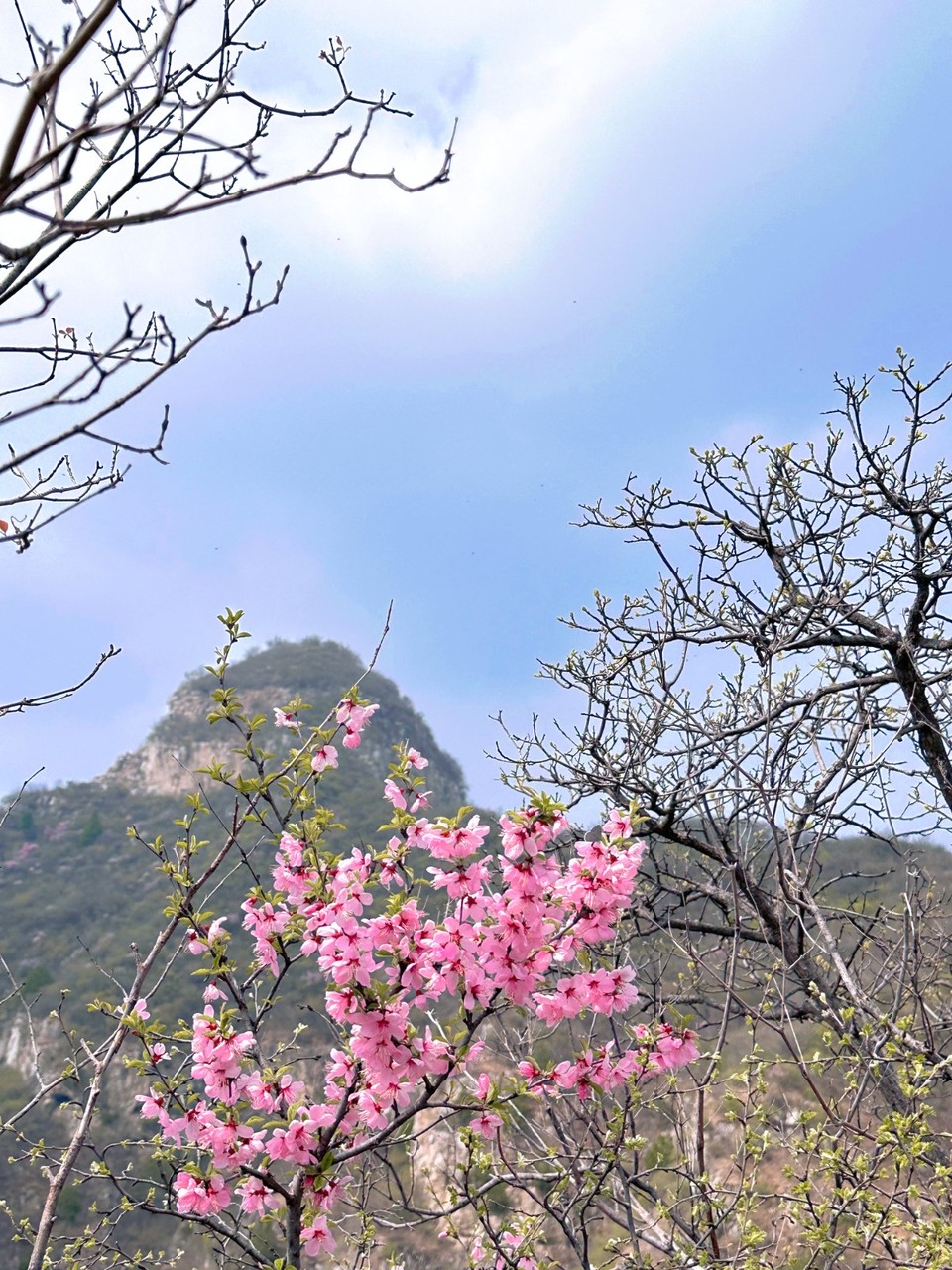 MTXX_MH20240414_112436000