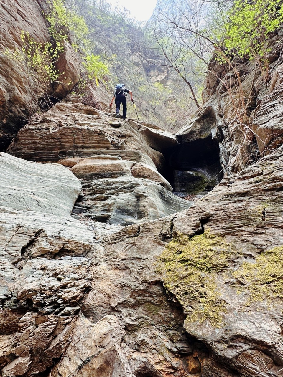 MTXX_MH20240414_112414678