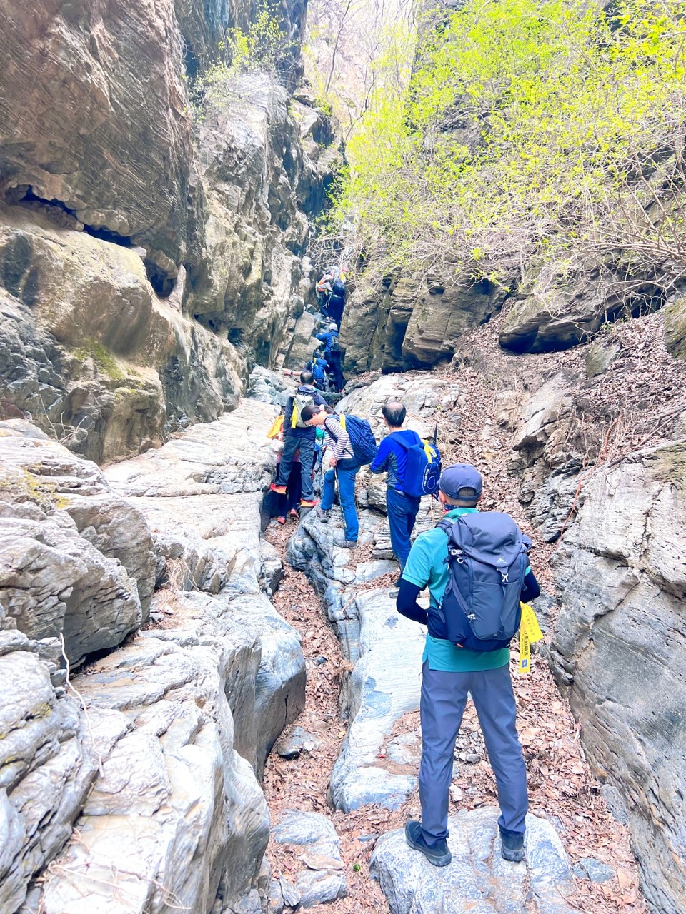 MTXX_MH20240414_112035931