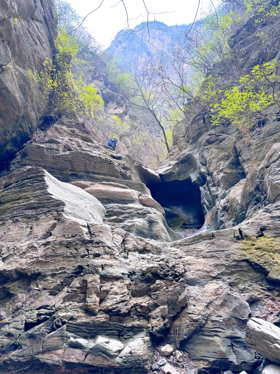 MTXX_MH20240414_111935810