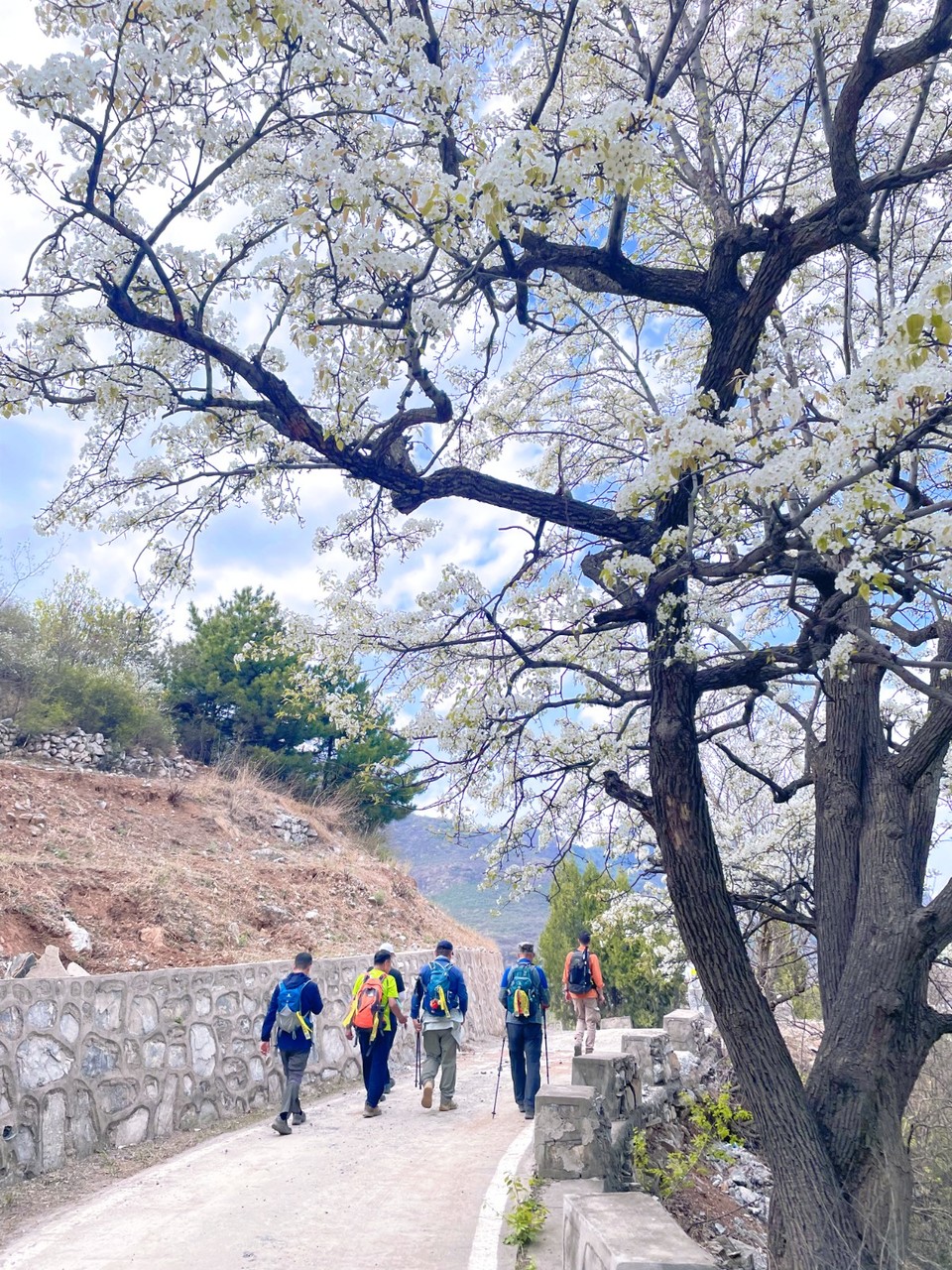 MTXX_MH20240420_185427494