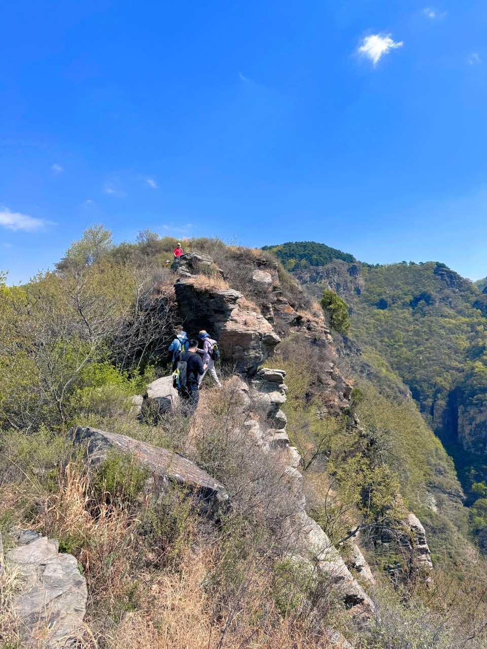 MTXX_MH20240420_185536337