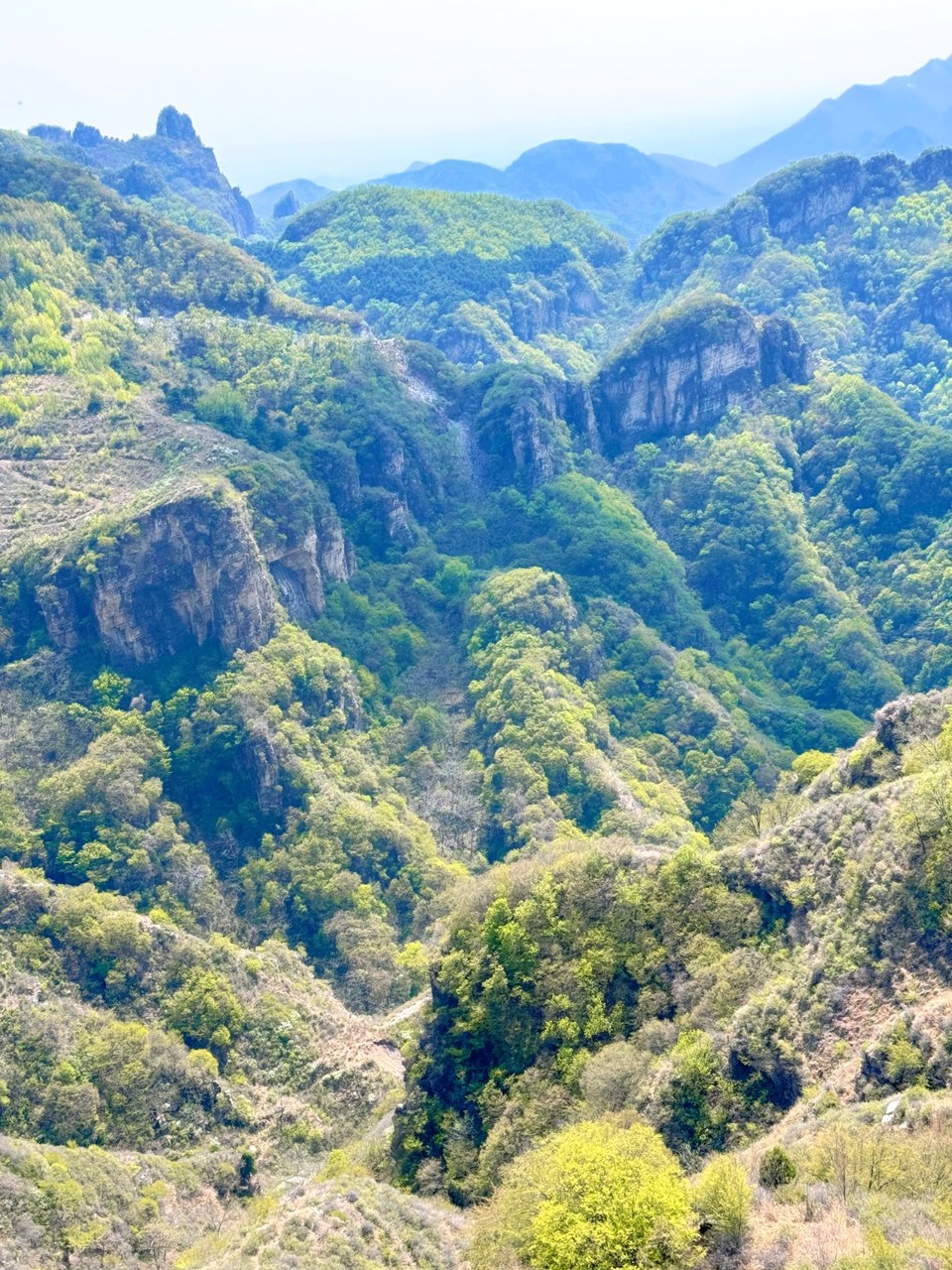 MTXX_MH20240420_185451187