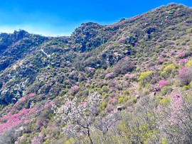 MTXX_MH20240504_132909475