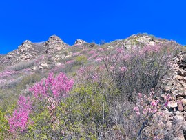 MTXX_MH20240504_132755404