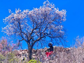 MTXX_MH20240504_132618252