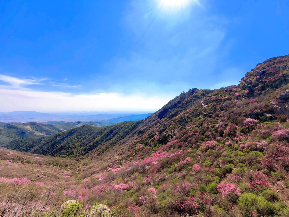 MTXX_MH20240504_132542818