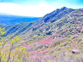 MTXX_MH20240504_132426933