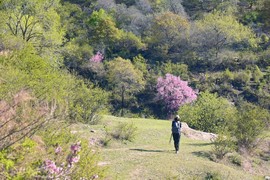 MTXX_MH20240504_153031126