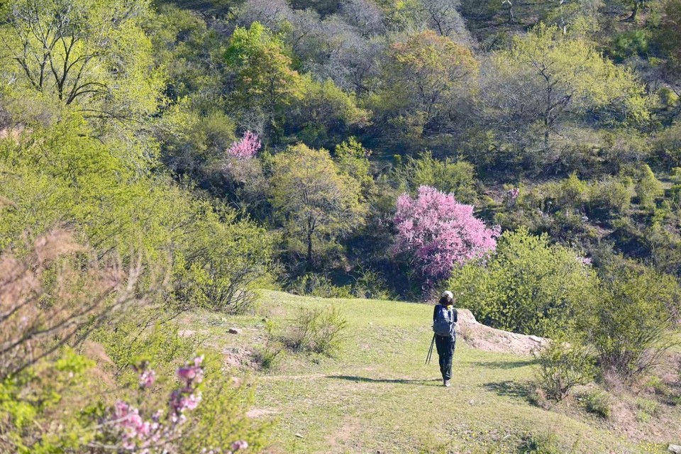 MTXX_MH20240504_153031126