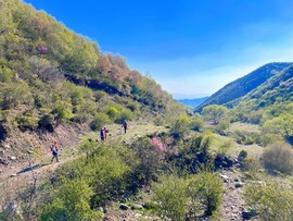 MTXX_MH20240504_152625327