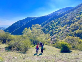 MTXX_MH20240504_152612007