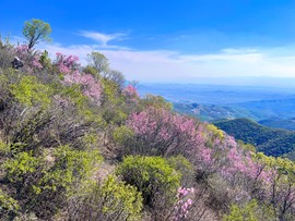 MTXX_MH20240504_152524415