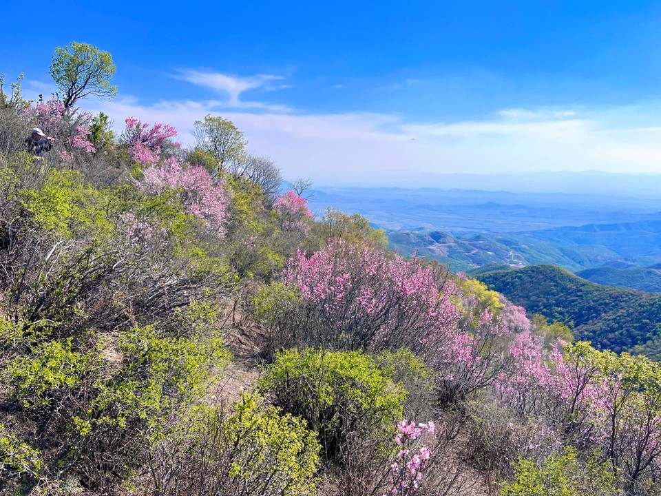 MTXX_MH20240504_152524415