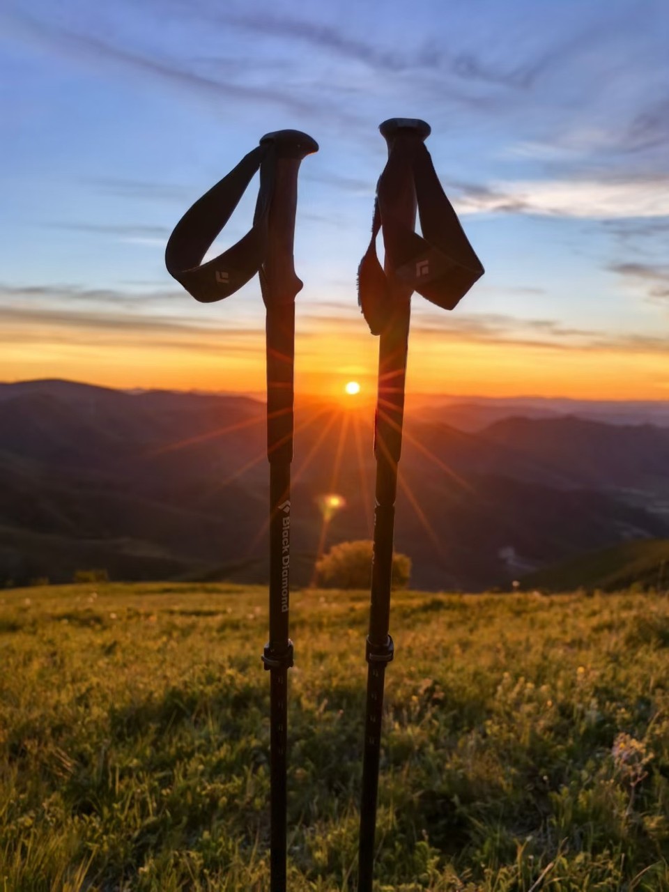 mmexport1718018242788