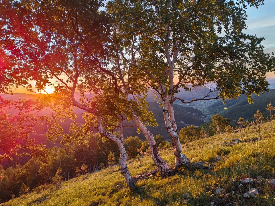 mmexport1718014976055