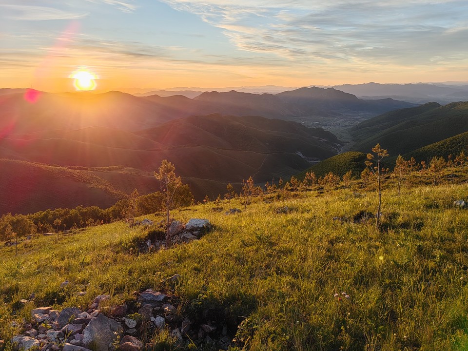 mmexport1718014965818