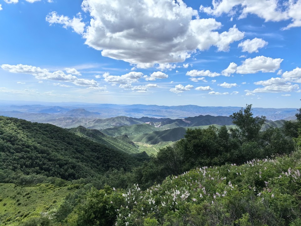 mmexport1718087507785