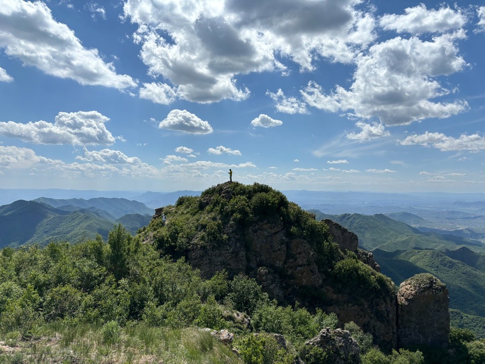 mmexport1718087435101