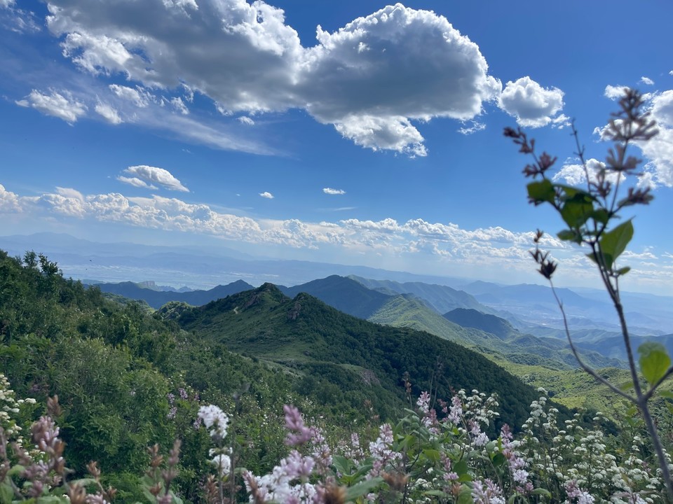 mmexport1718087351233