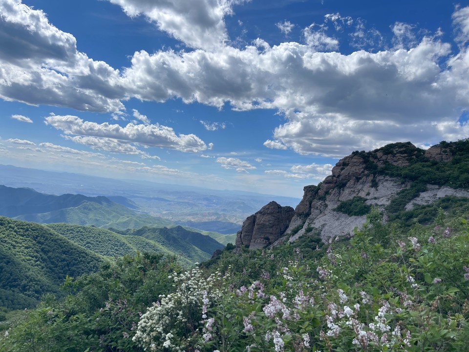 mmexport1718087343061