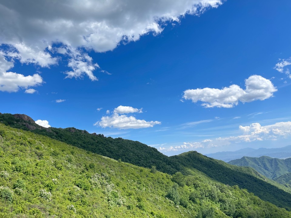 mmexport1718087326330