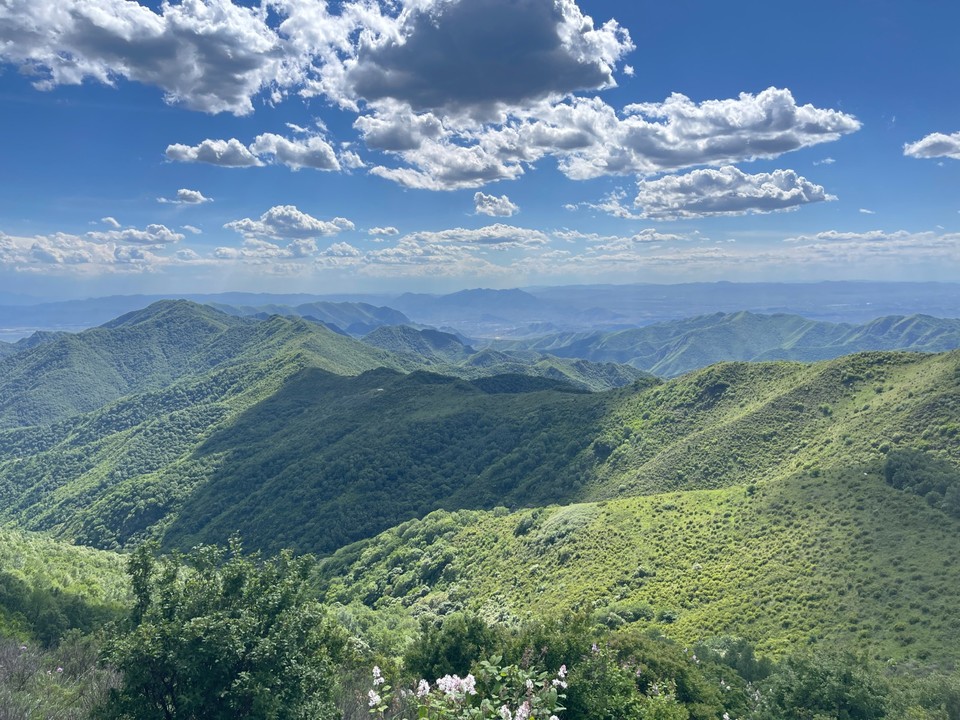 mmexport1718087318401