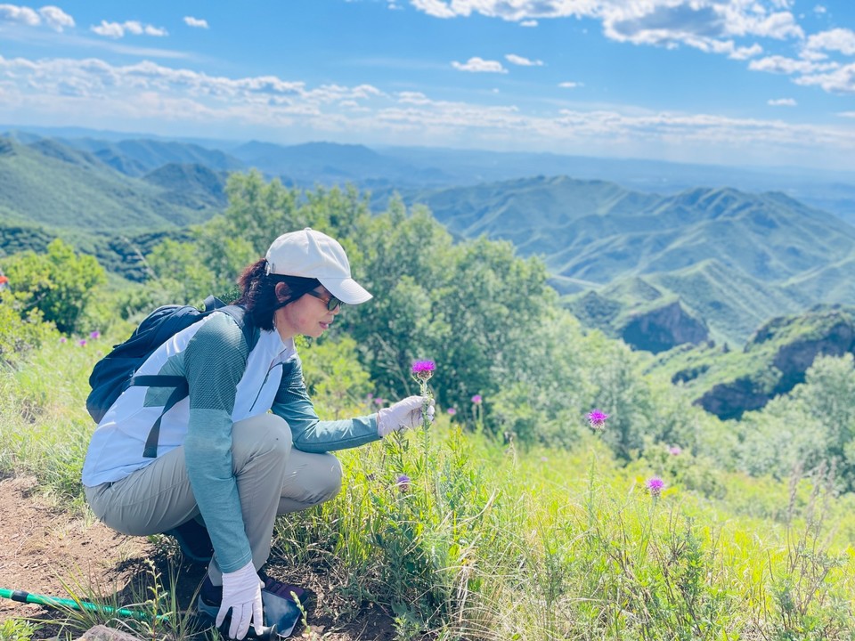 mmexport1718087289747