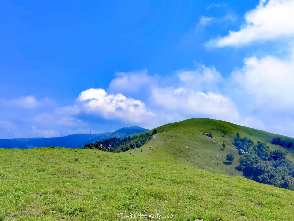 MEITU_20240728_094123066