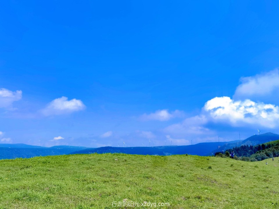 MEITU_20240728_094109010