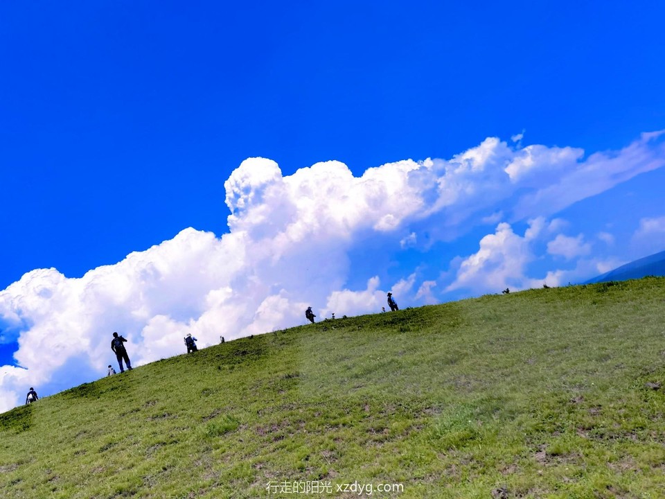 MEITU_20240728_094050818