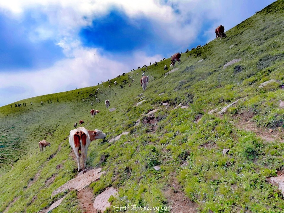 MEITU_20240728_094035583