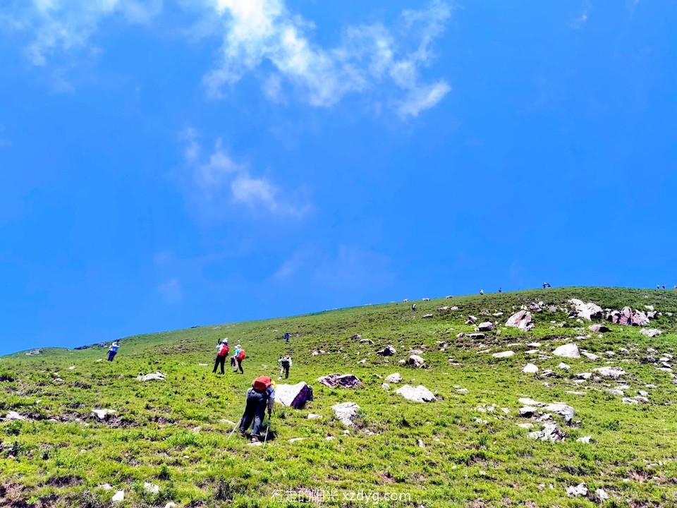 MEITU_20240728_093501773