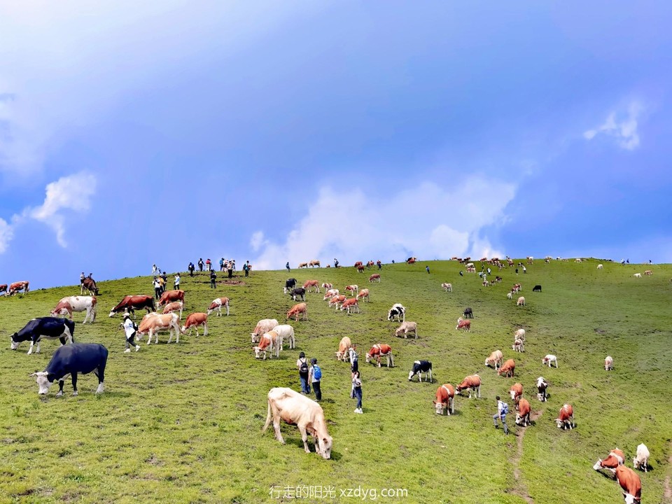 MEITU_20240728_093412790