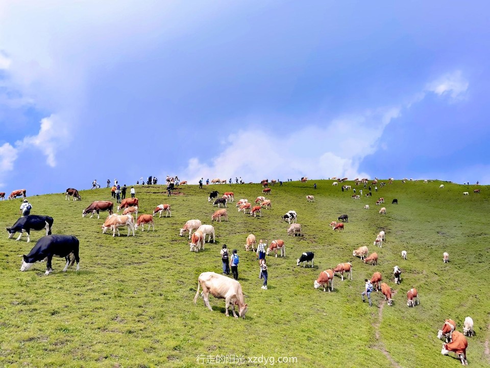 MEITU_20240728_093439404