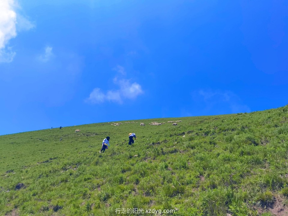 MEITU_20240728_093157842