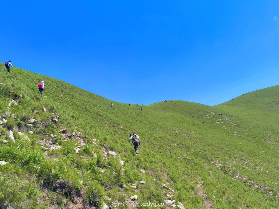 MEITU_20240728_093129458