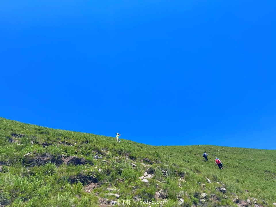 MEITU_20240728_093143744