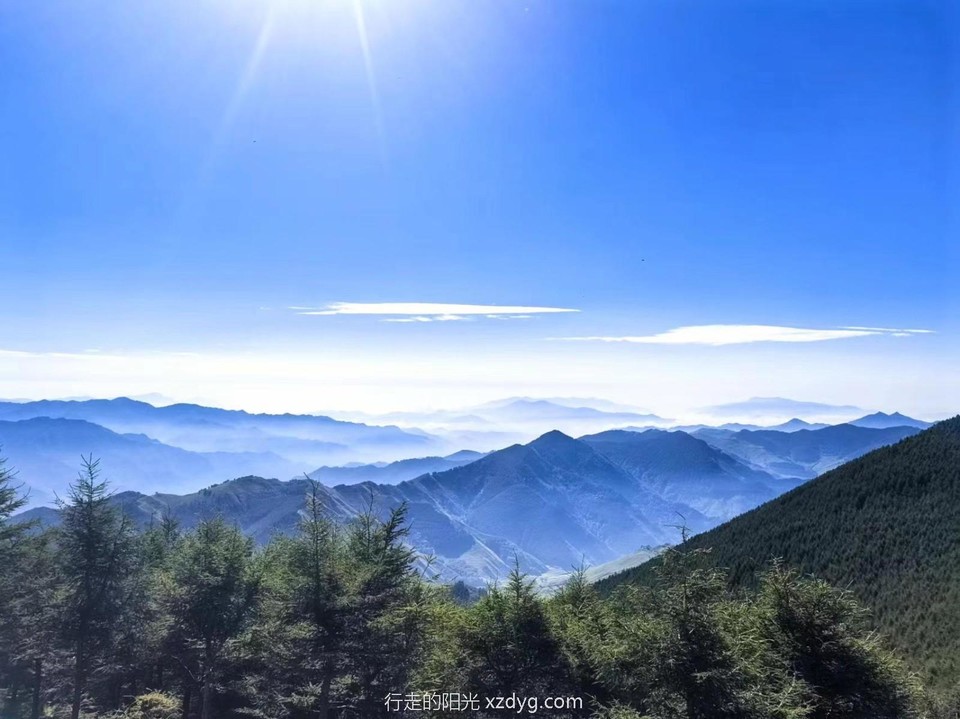 mmexport1722155479043