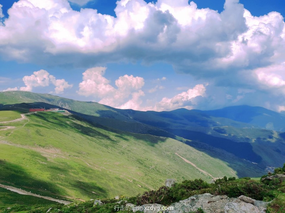 MEITU_20240728_163722840