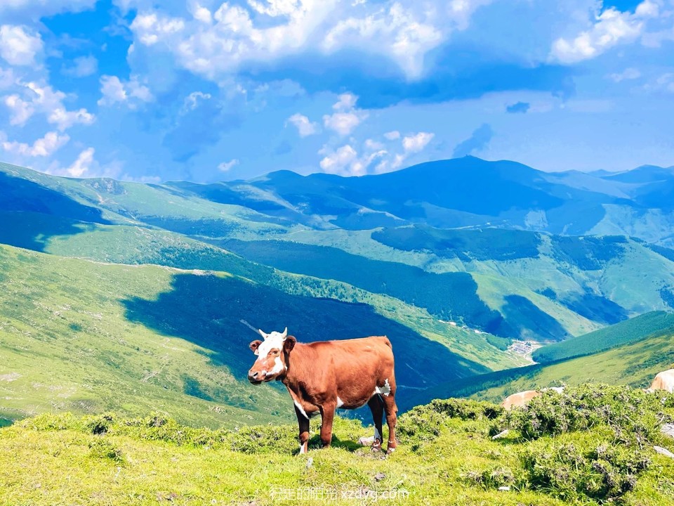 MEITU_20240728_163608276