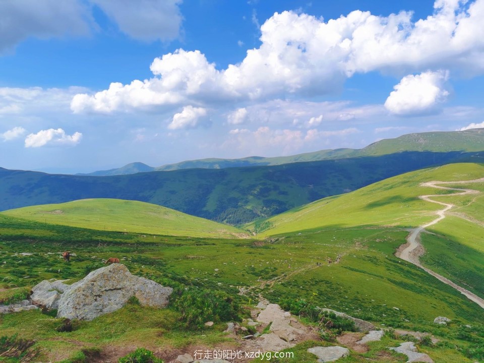 MEITU_20240728_163639202