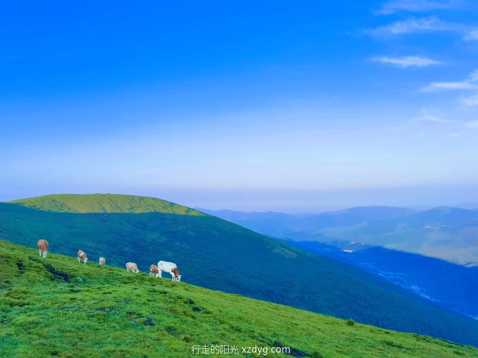 MEITU_20240728_163949409