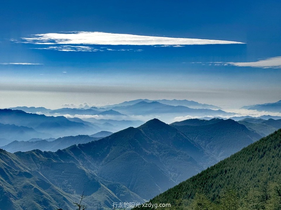 mmexport1722155473586_edit_530276840357105